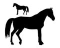 A set of silhouettes of horses,  on a white background Royalty Free Stock Photo